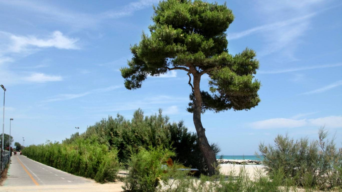 pineto-beach-village-camping-pineto-abruzzo-sport-divertimento-20