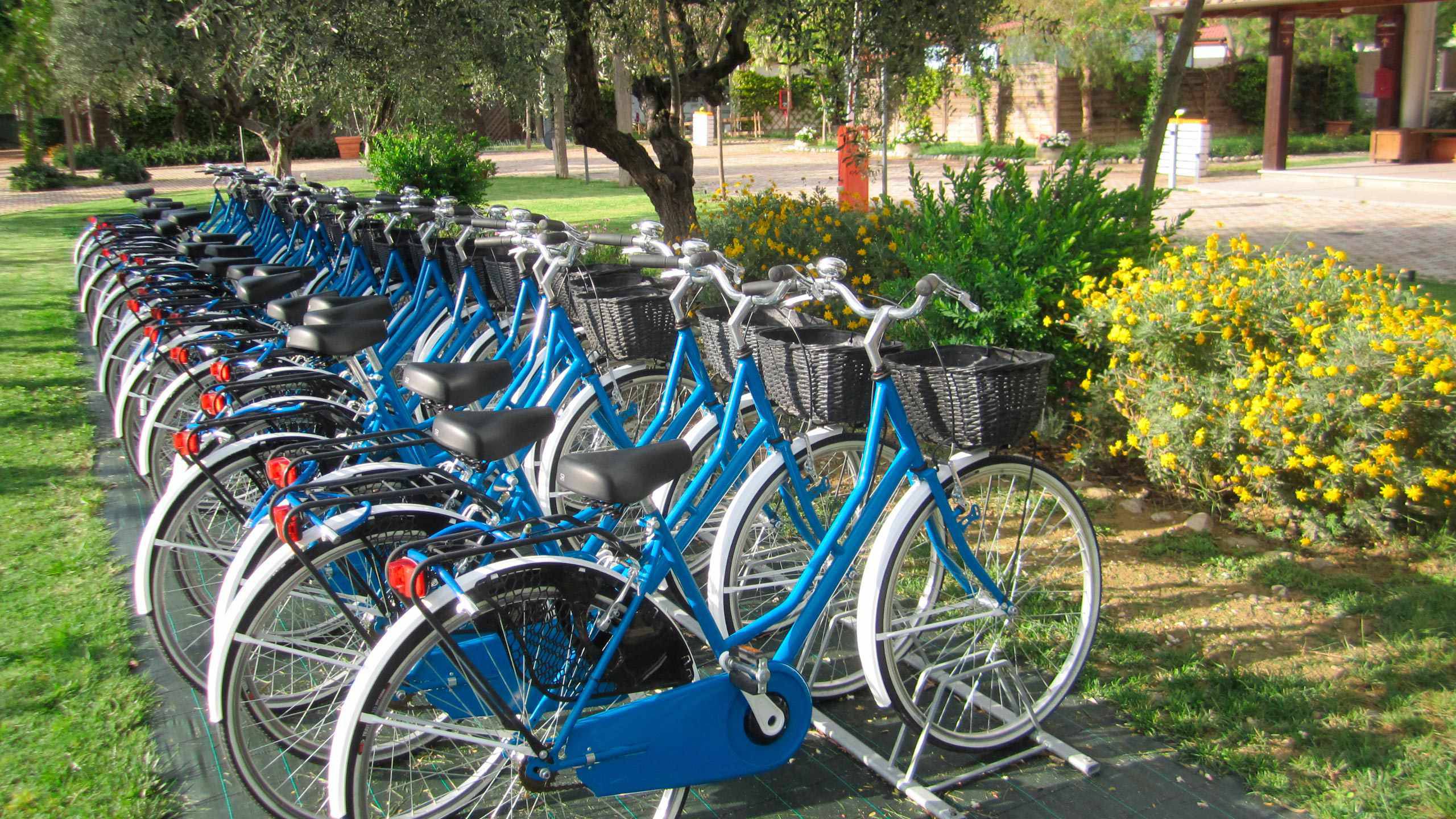 pineto-beach-village-camping-pineto-abruzzo-bike-touring-biciclette-blu