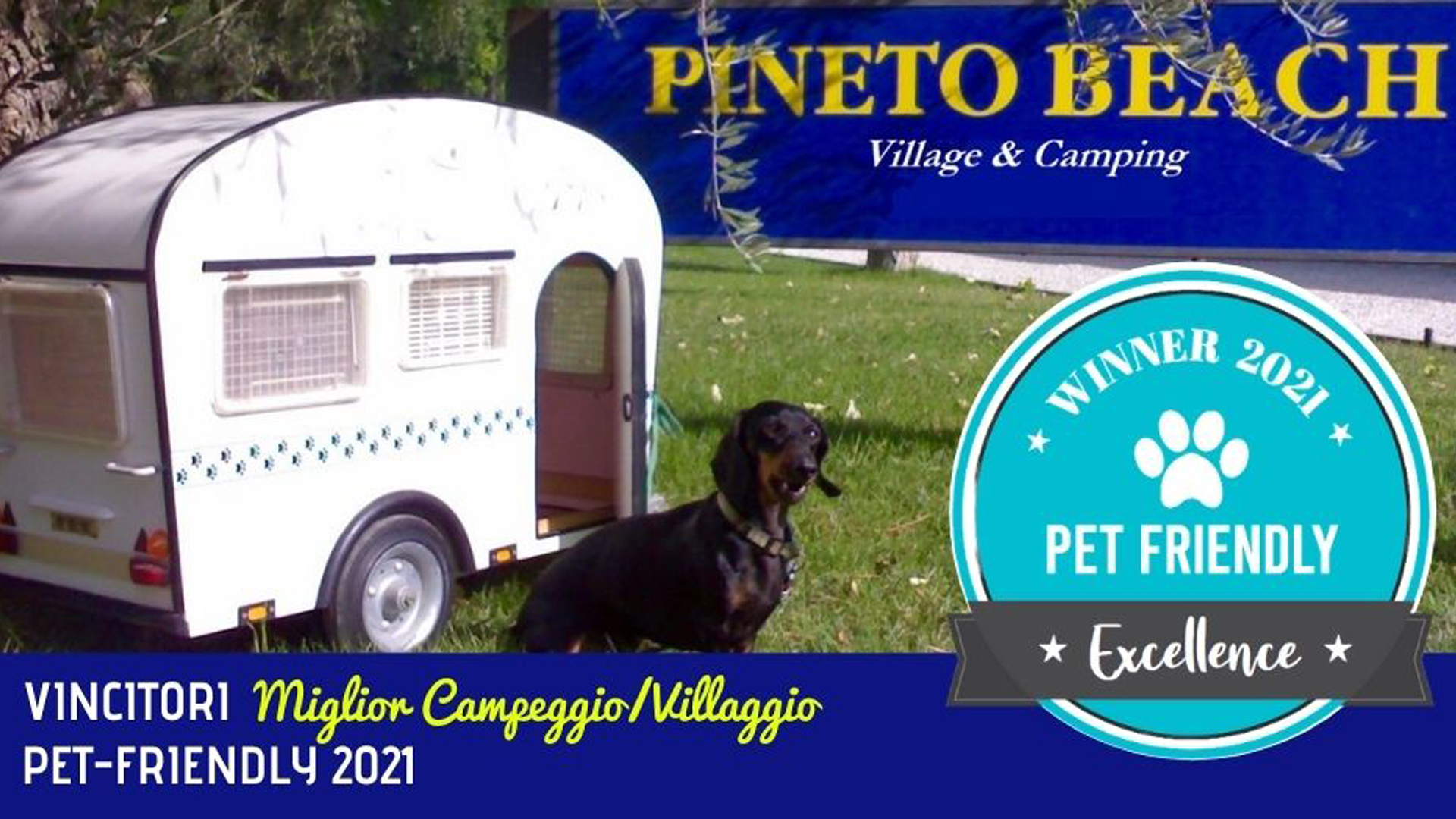 pet-friendly-winner