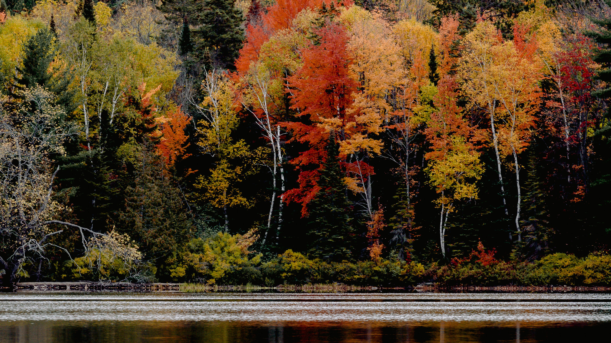 pineto-beach-blog-il-foliage.jpg